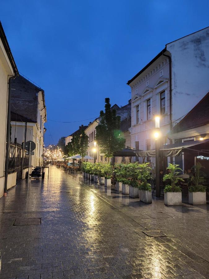 Fullton Central Cluj-Napoca Eksteriør billede